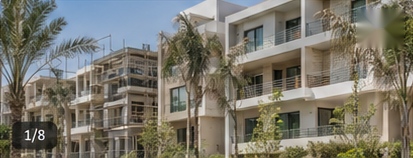 Palm Hills